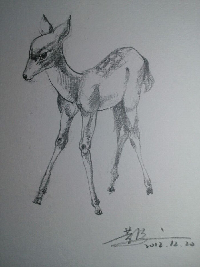 素描～鹿