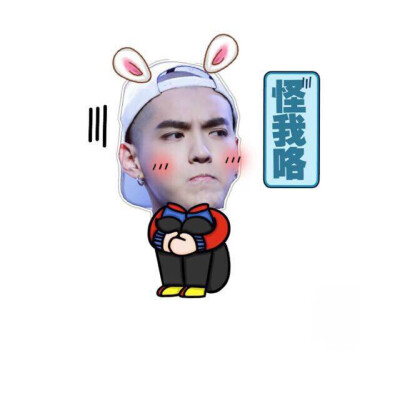 吴亦凡 表情包