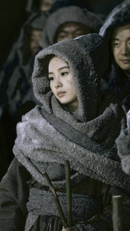女医明妃传,刘诗诗