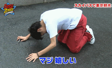 以下表情包:给跪了