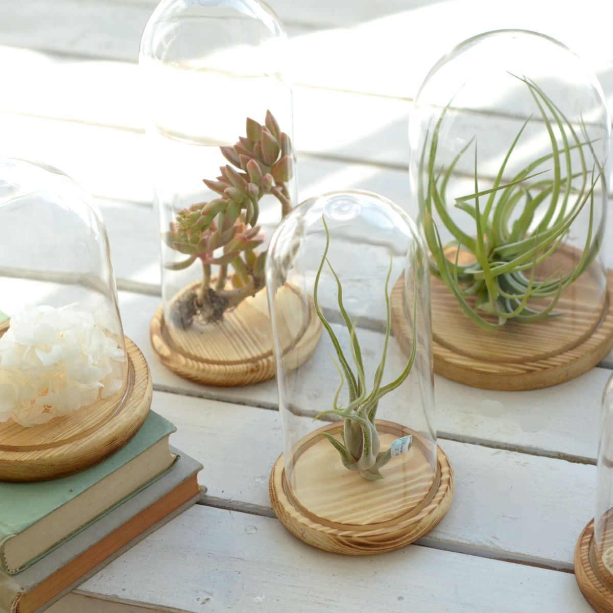 装饰品小物件 20160202050224_vx823.jpeg