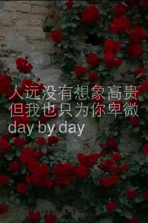 图片带字是可以很温暖很难过很冷冽的-堆糖,美好生活