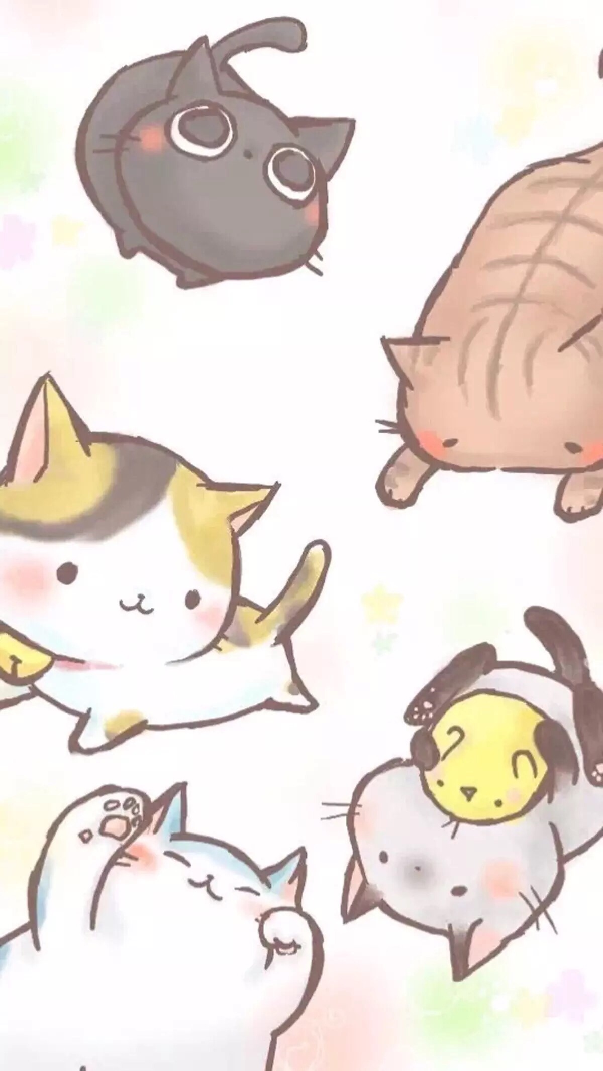 猫漫画图片大全(14)-猫猫萌图-屈阿零可爱屋