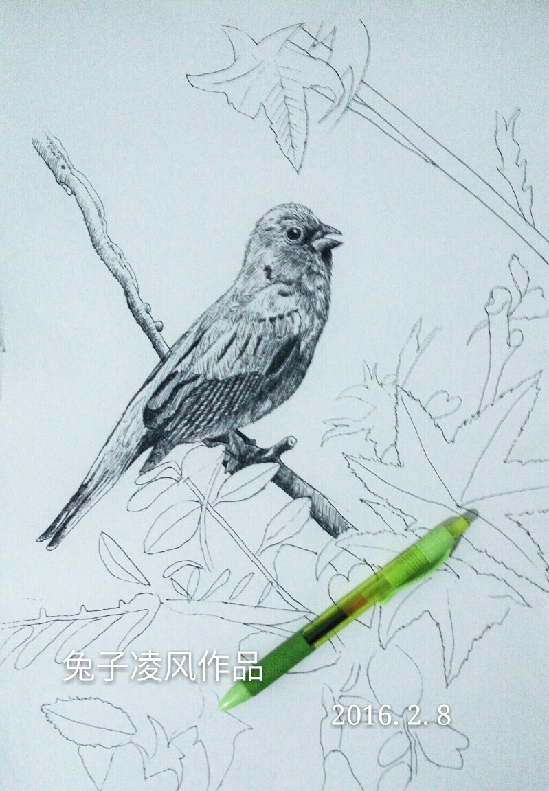 兔子凌风中性笔画作品
