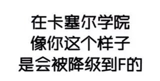 图源网络侵删致歉表情-堆糖,美好生活研究所捂脸表情包可爱羞羞图片
