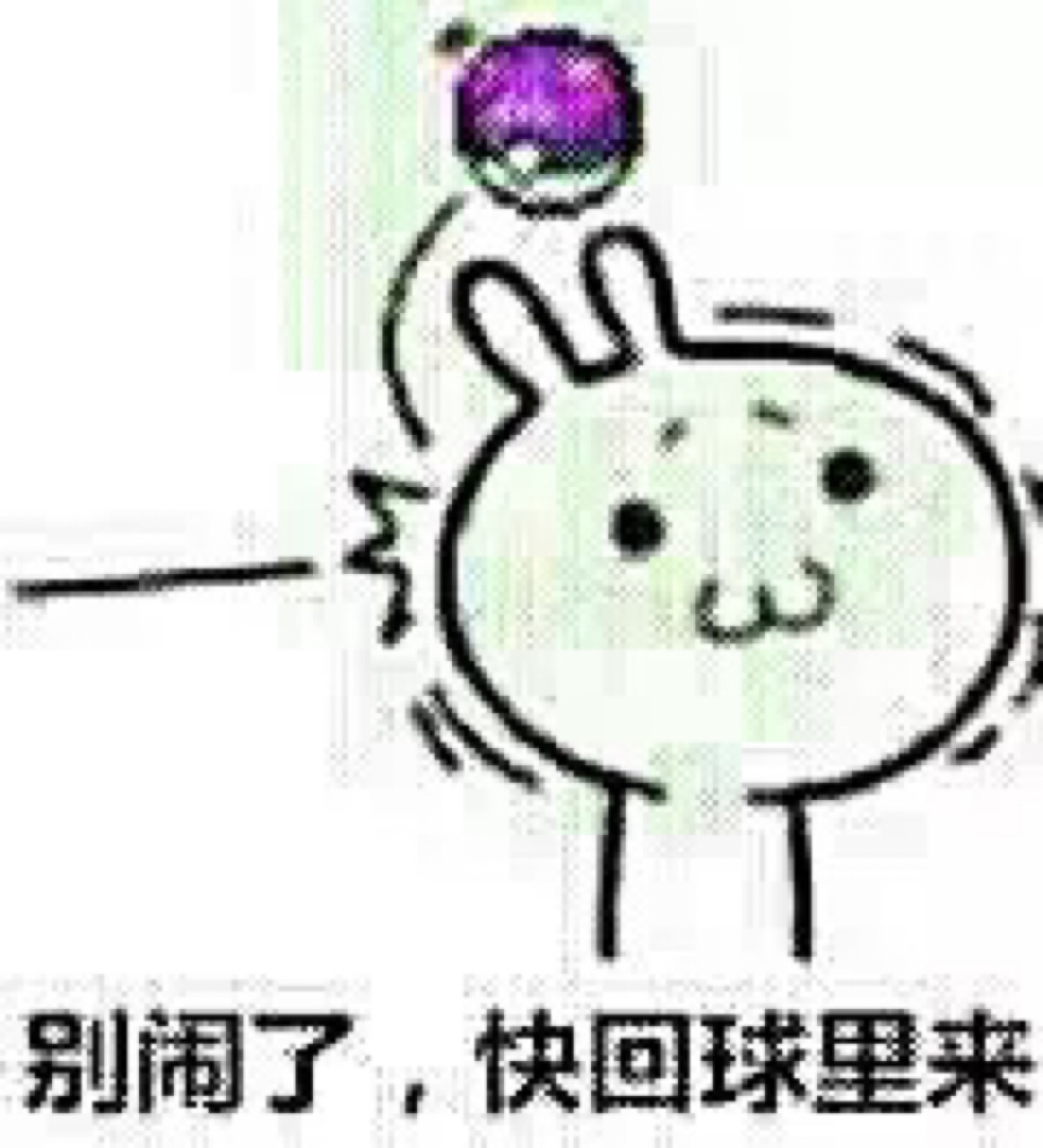 常用表情包 搞笑 cr微博