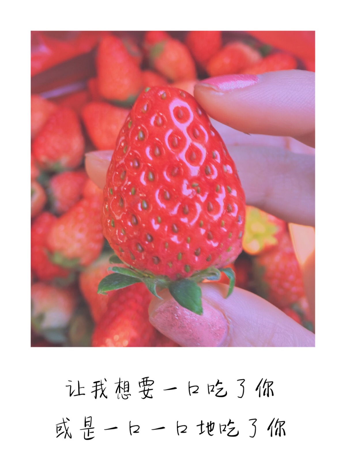 ins超火草莓背景图有字图片