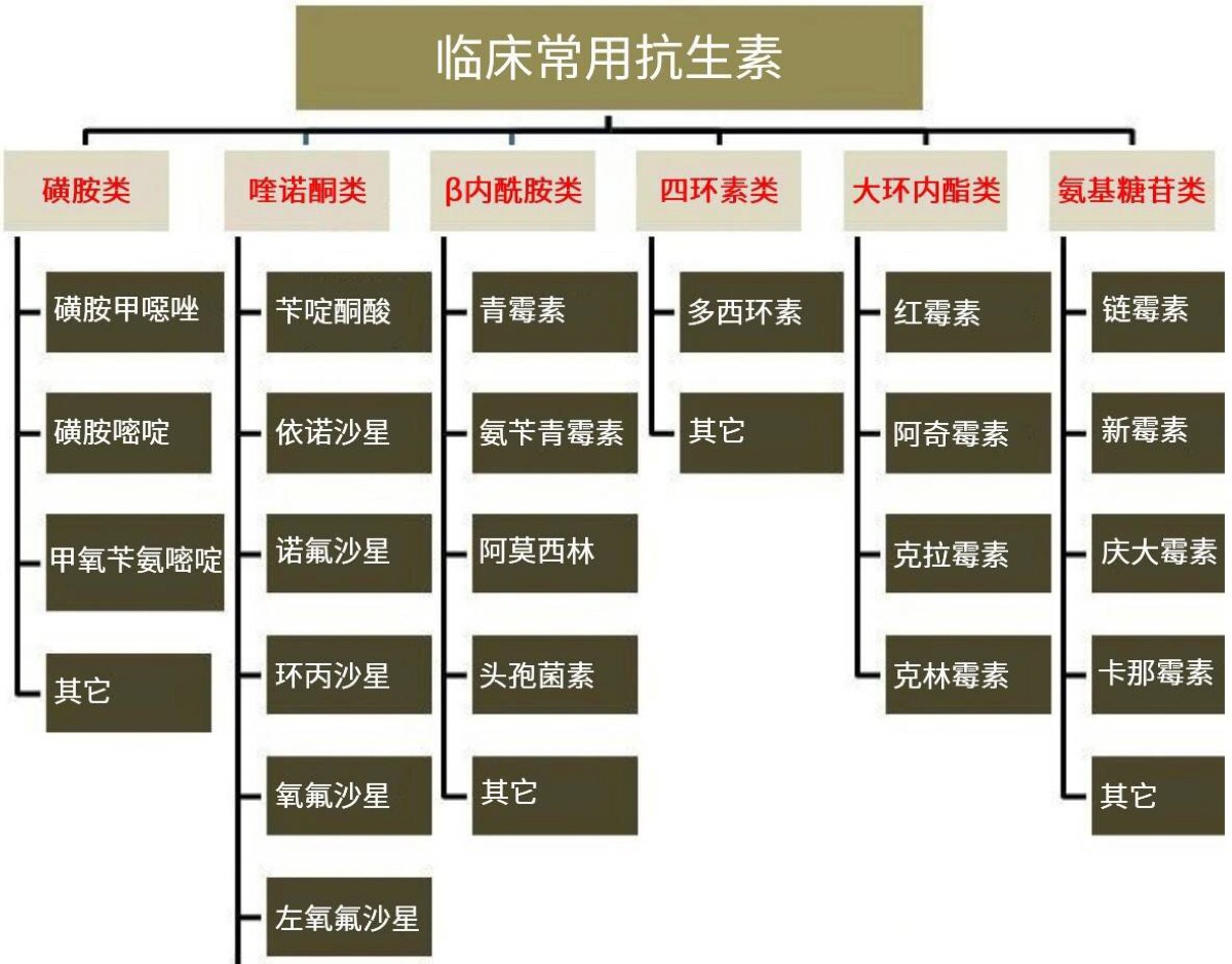 【2016年】常用抗生素在动物及人胆汁中的浓度分布和药效学研究【临床