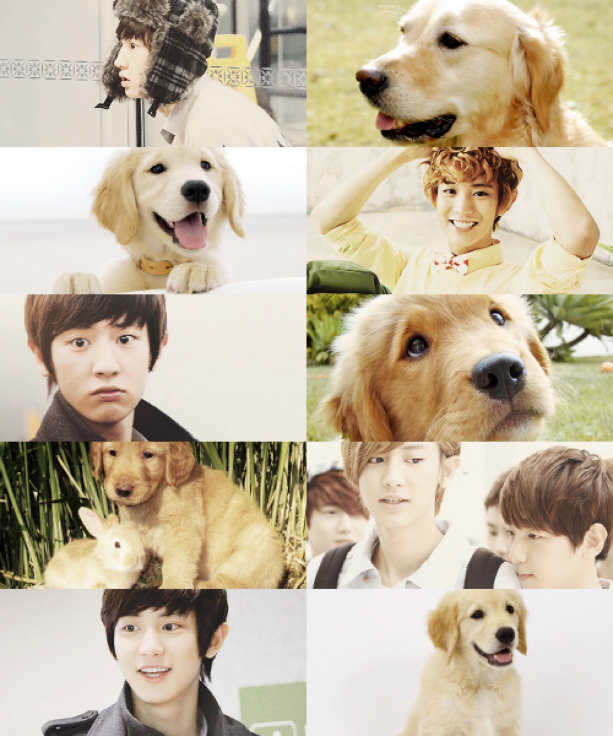 Exo动物 万图壁纸网