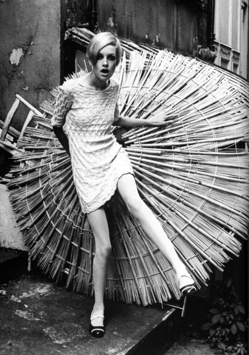 永远的 "twiggy"