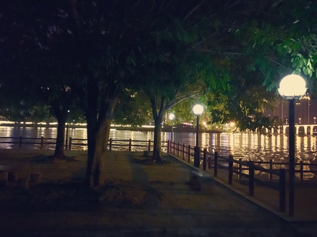 江滨公园夜