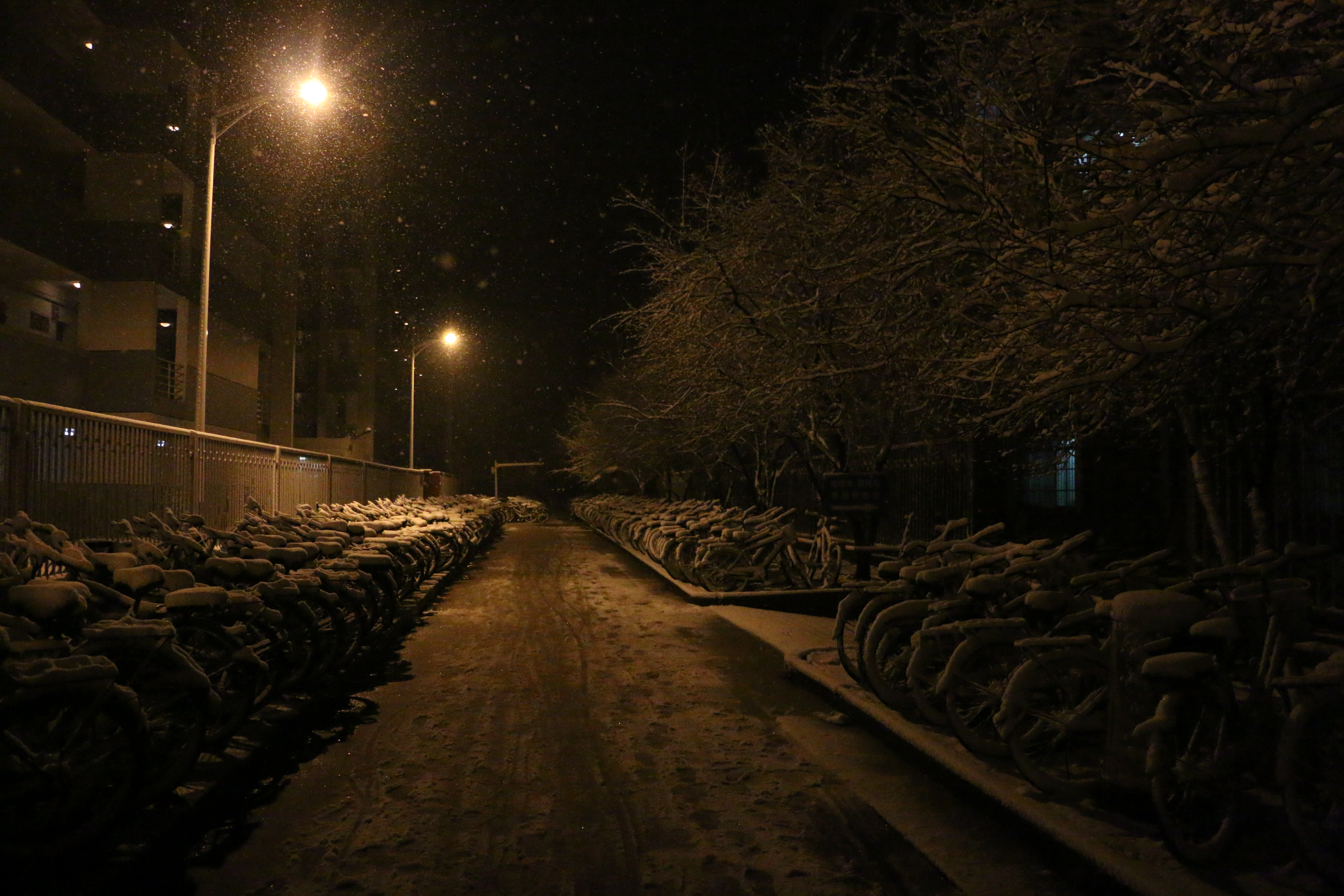 晚上下雪的图片 实景图片