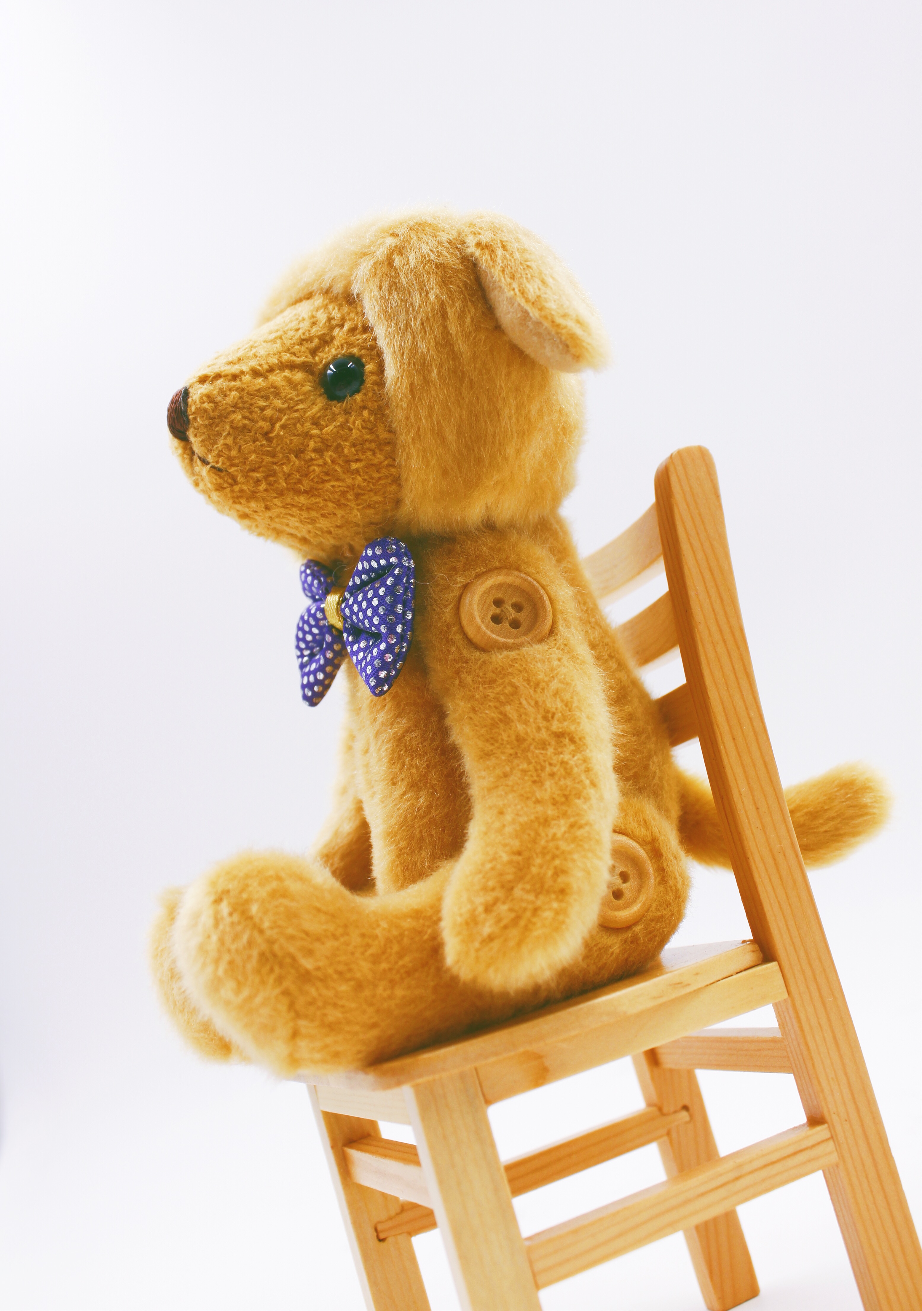 泰迪珍藏teddy bear collection 狗年泰迪