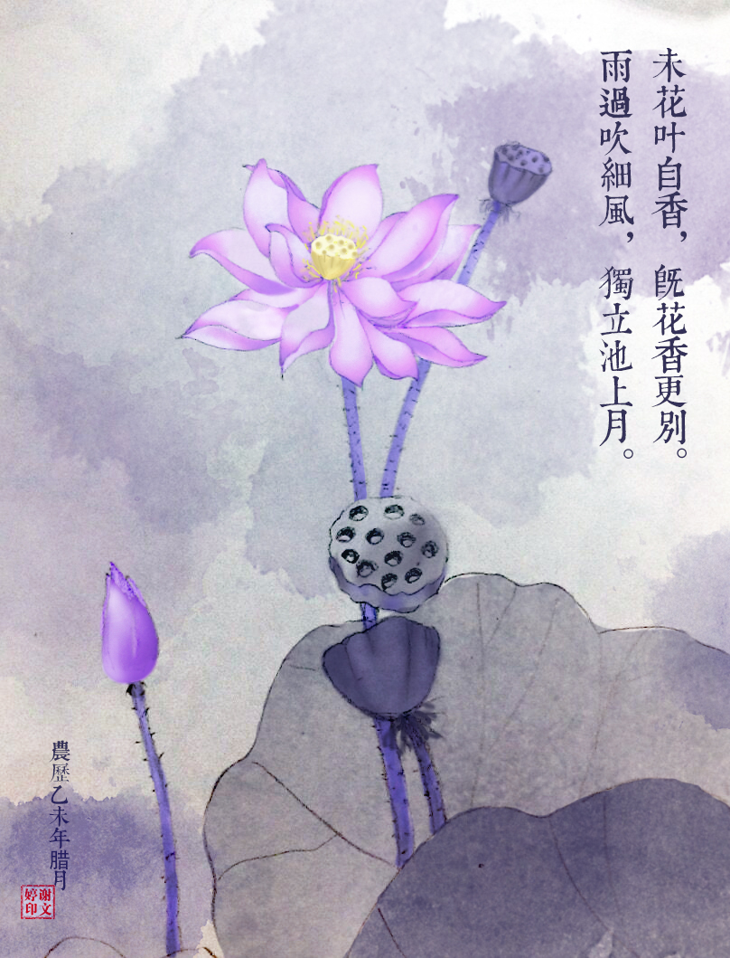 地图ps手绘荷花莲花插画如何根据数据绘制简单水墨图片