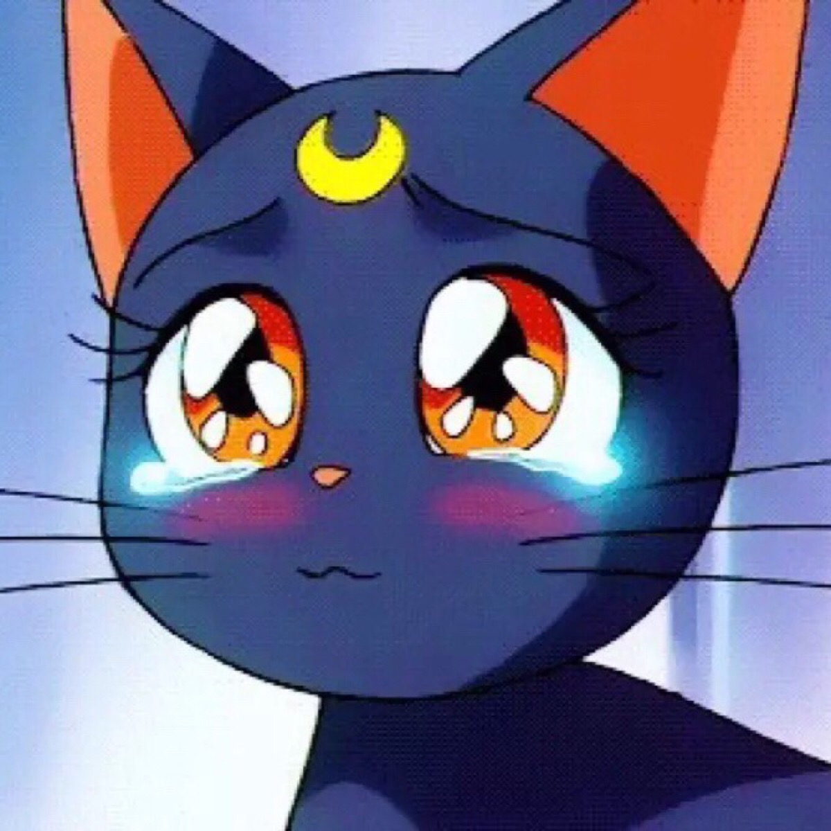 美少女战士,露娜