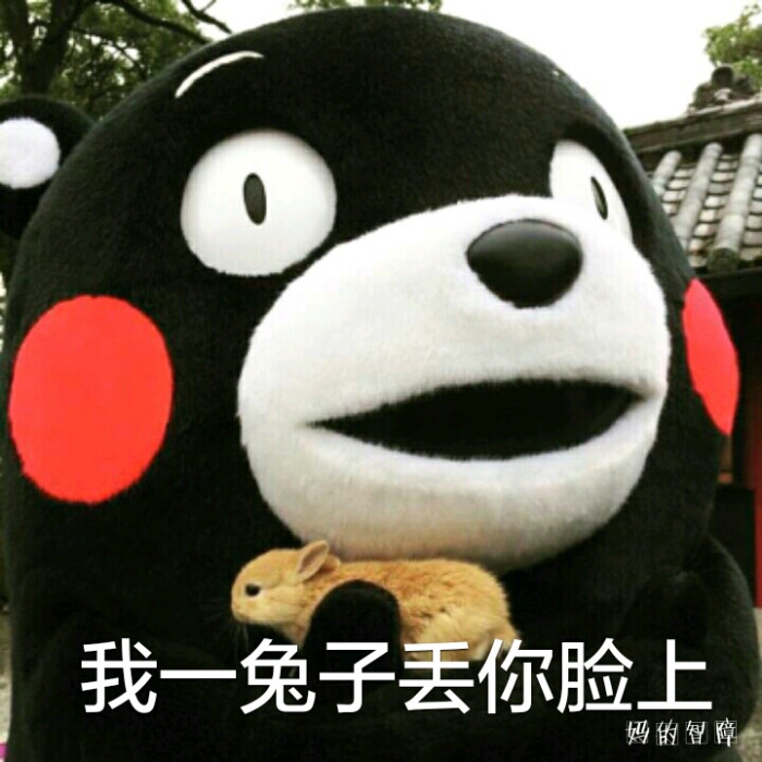 我一兔子丢你脸上(°90°02╬)【熊本熊表情包