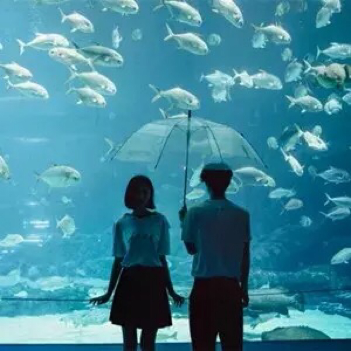 情侣头像 情侣 头像