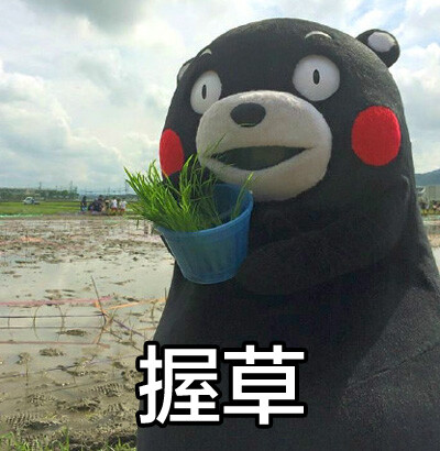 熊本 握草 表情包