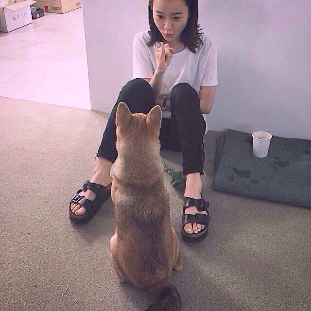 【带宠物】各类女生头像与动物,抱动物可爱唯美伤感霸气by沐晴