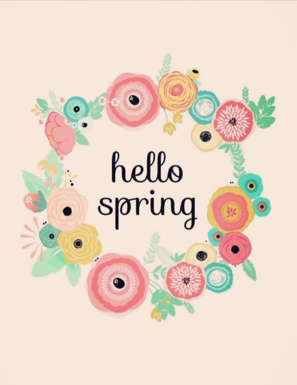 hello spring 春天