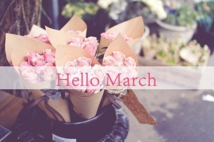 hello,march.你好,三月.壁纸 插画 素材 唯美 拍摄 文字