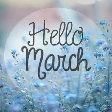 hello,march.你好,三月.壁纸 插画 素材 唯美 拍摄 文字