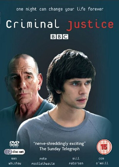 司法正义 criminal justice (2008)