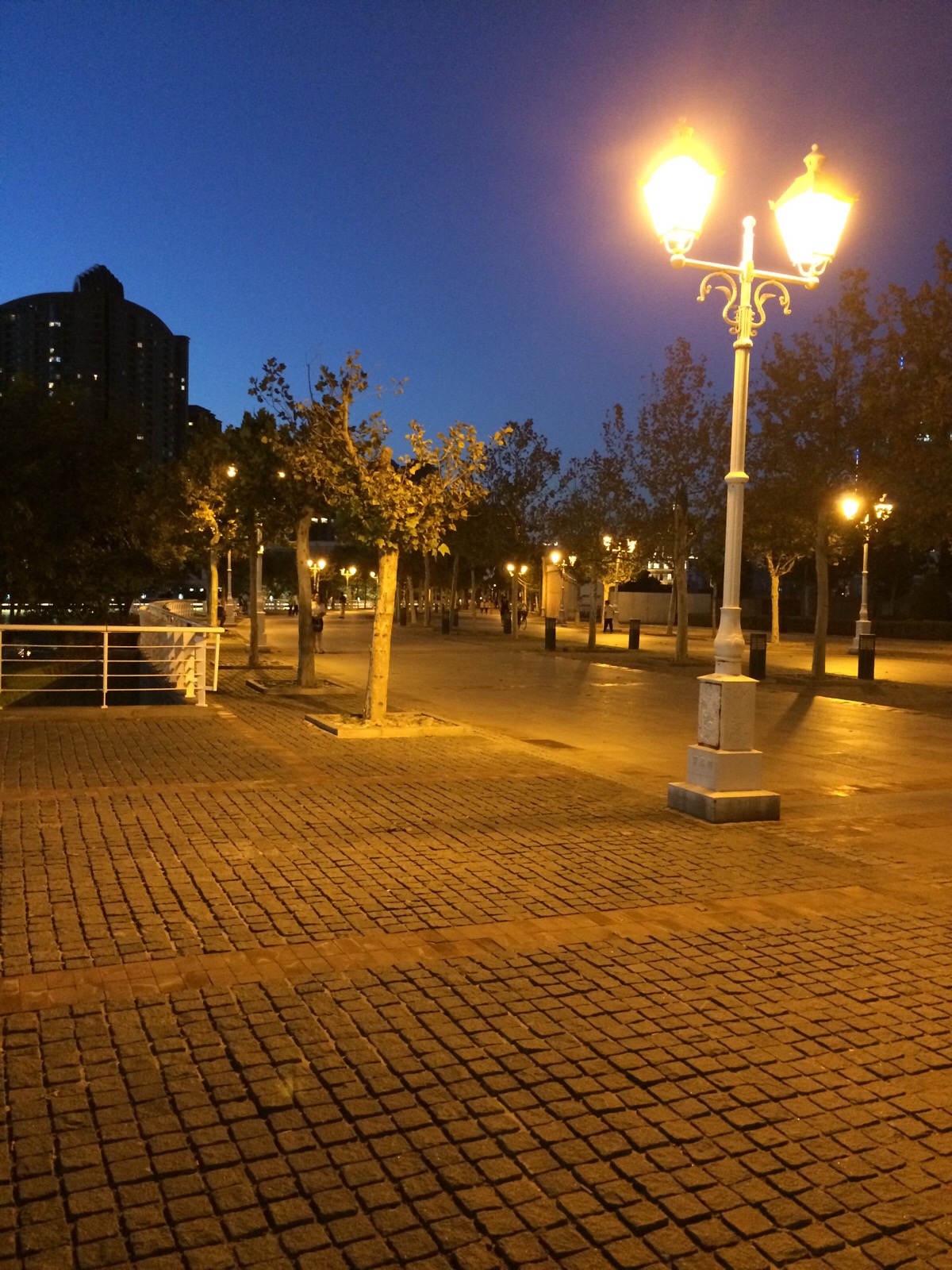 城市路灯下的晚景图片图片