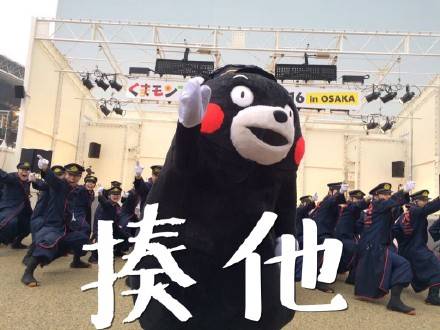 熊本表情包「据说喜欢我的小可爱颜值很高」