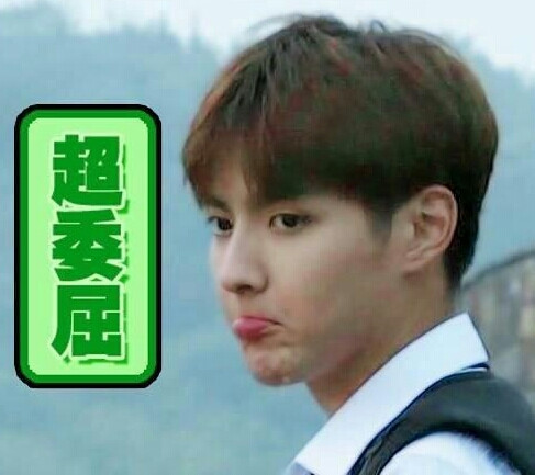 吴亦凡表情包
