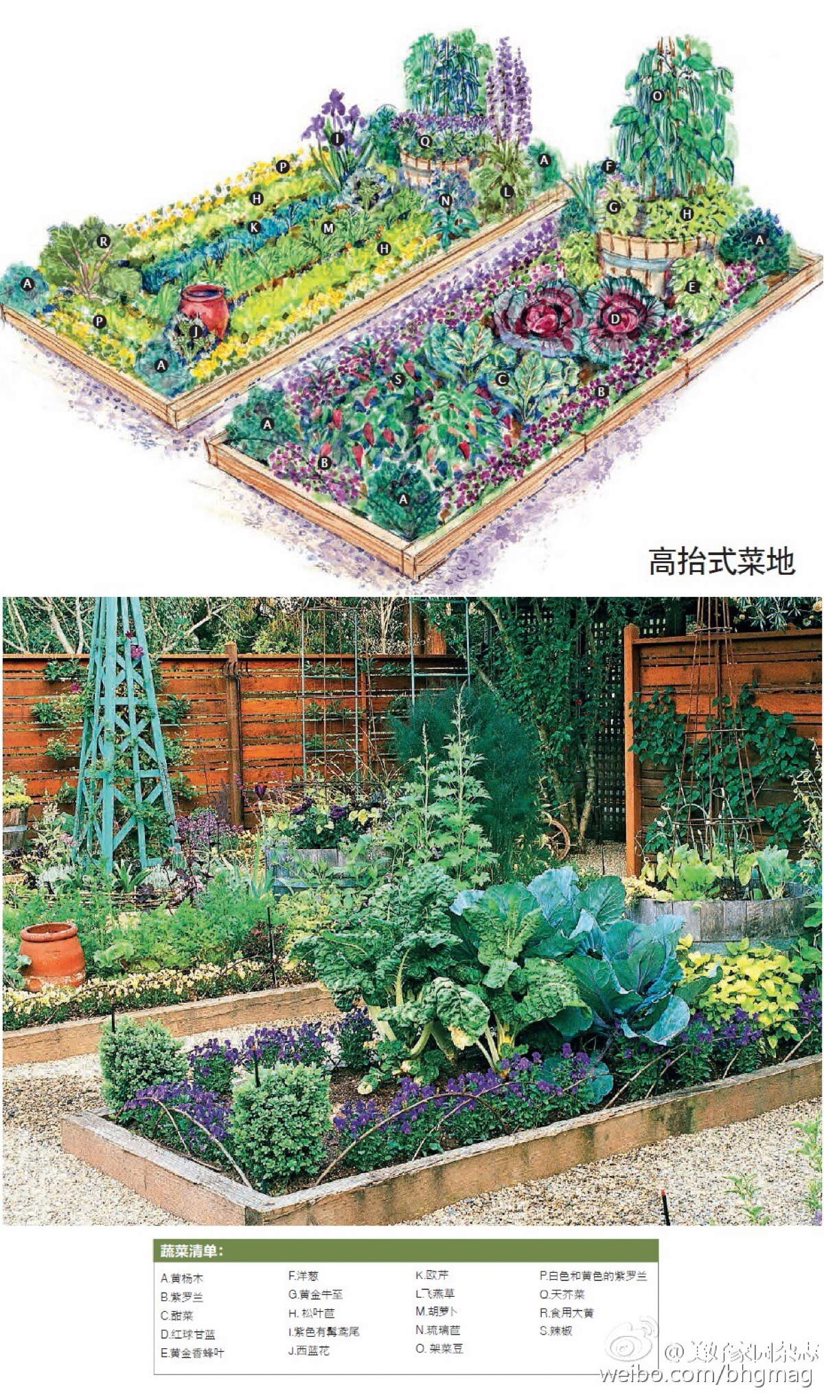 形式简单的菜园方案,希望对打算明年种菜或做菜园改造1200_2028竖版