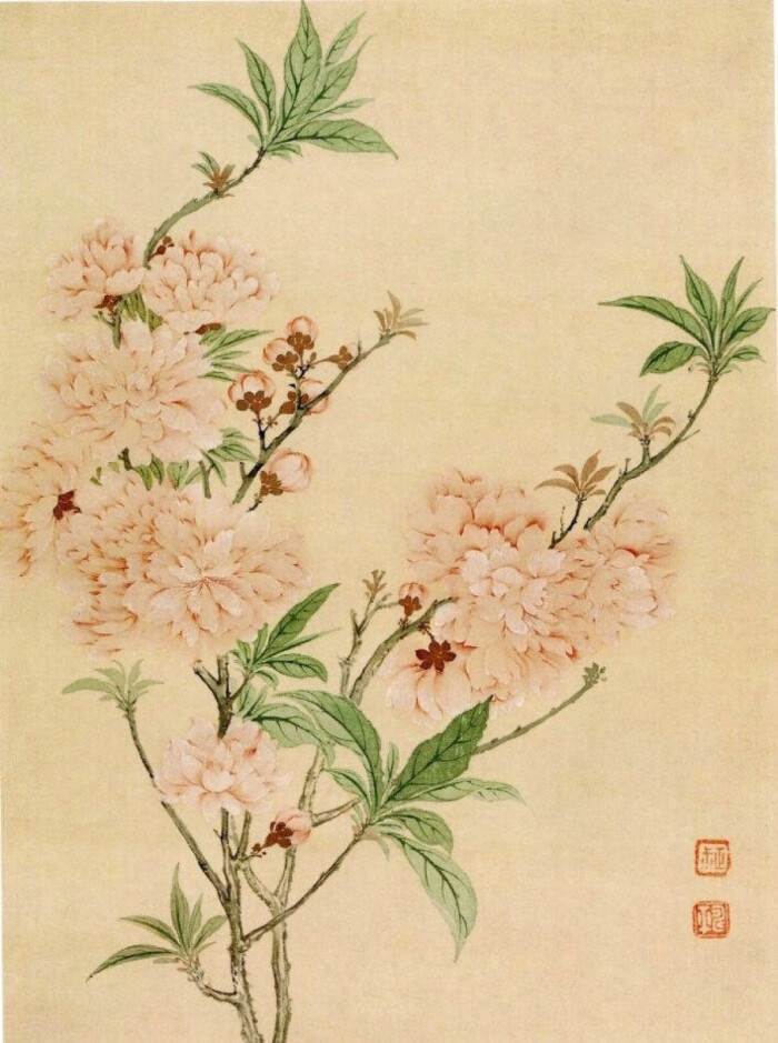 恽寿平工笔花鸟清