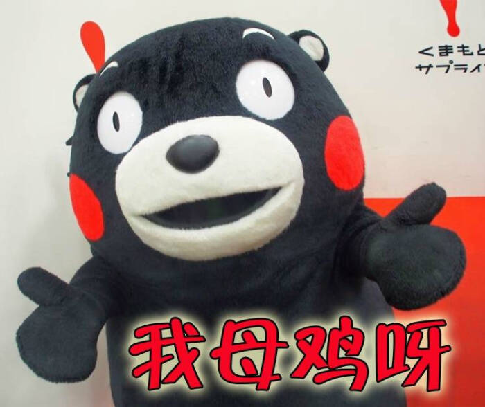熊本熊# 握草 我也不知道 @ziyang