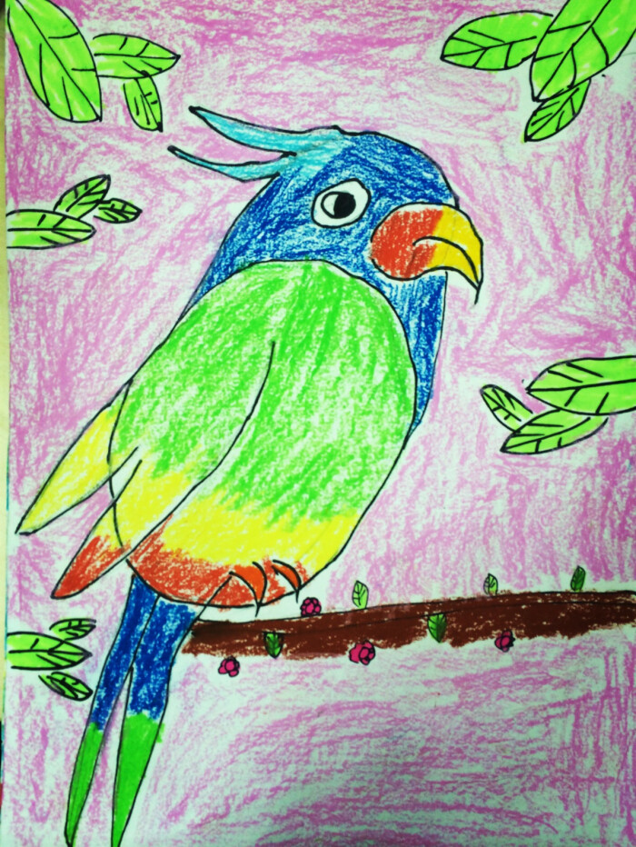 二年级美术花羽毛的鸟图片
