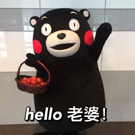 hello老婆!kumanon熊本熊表情包