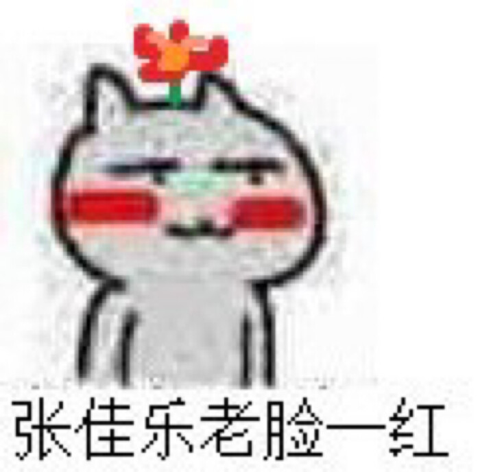 全职高手表情 张佳乐老脸一红( ) 来自各种群聊 侵删