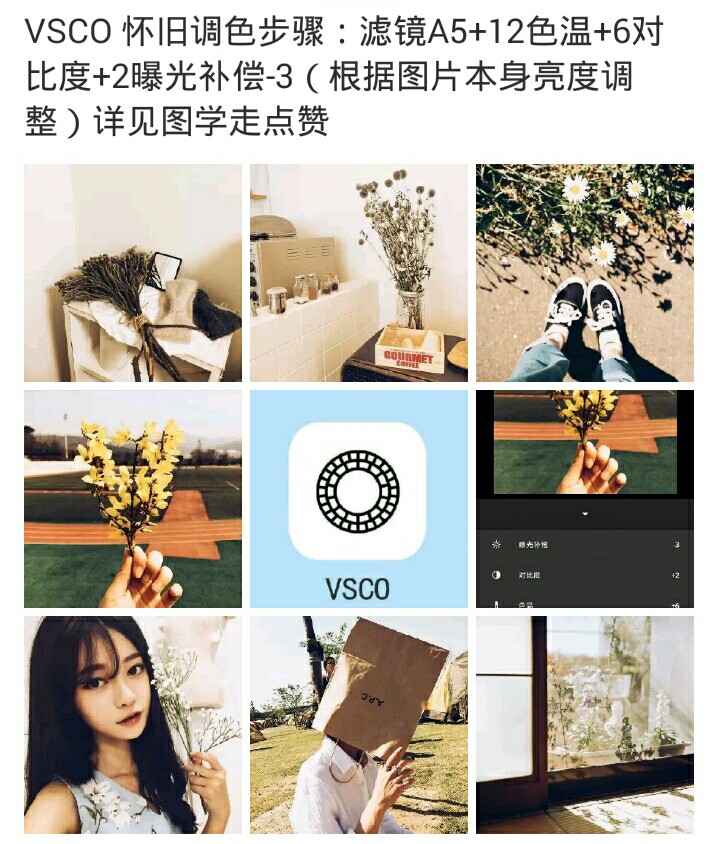 vsco调色教程