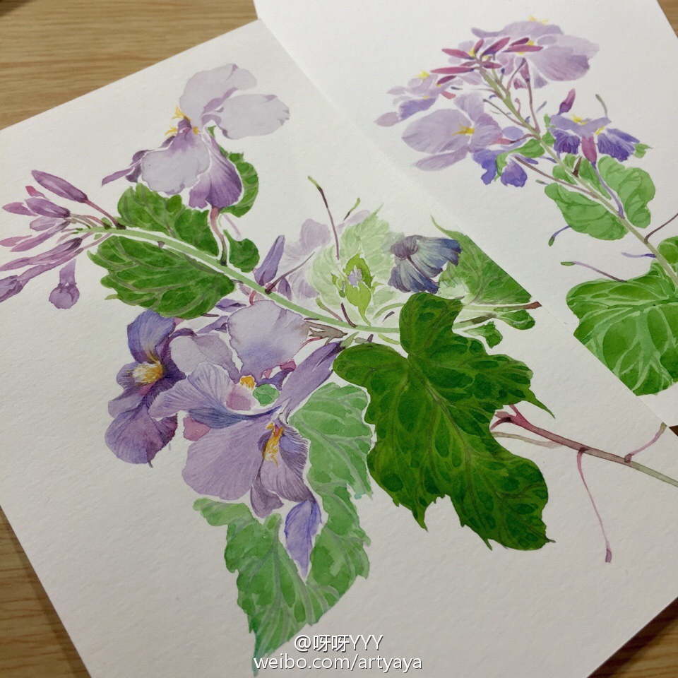 【侵删#花卉手扎#二月兰