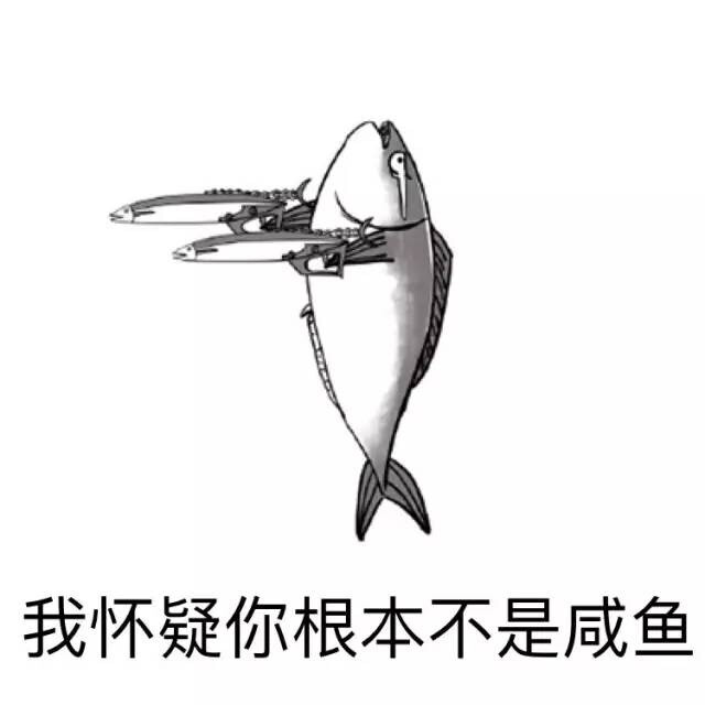 我怀疑你根本不是咸鱼