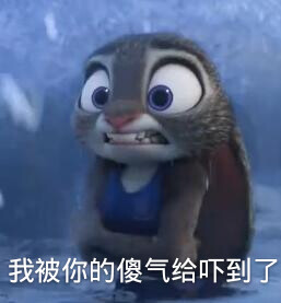 饼干儿的制作表情包