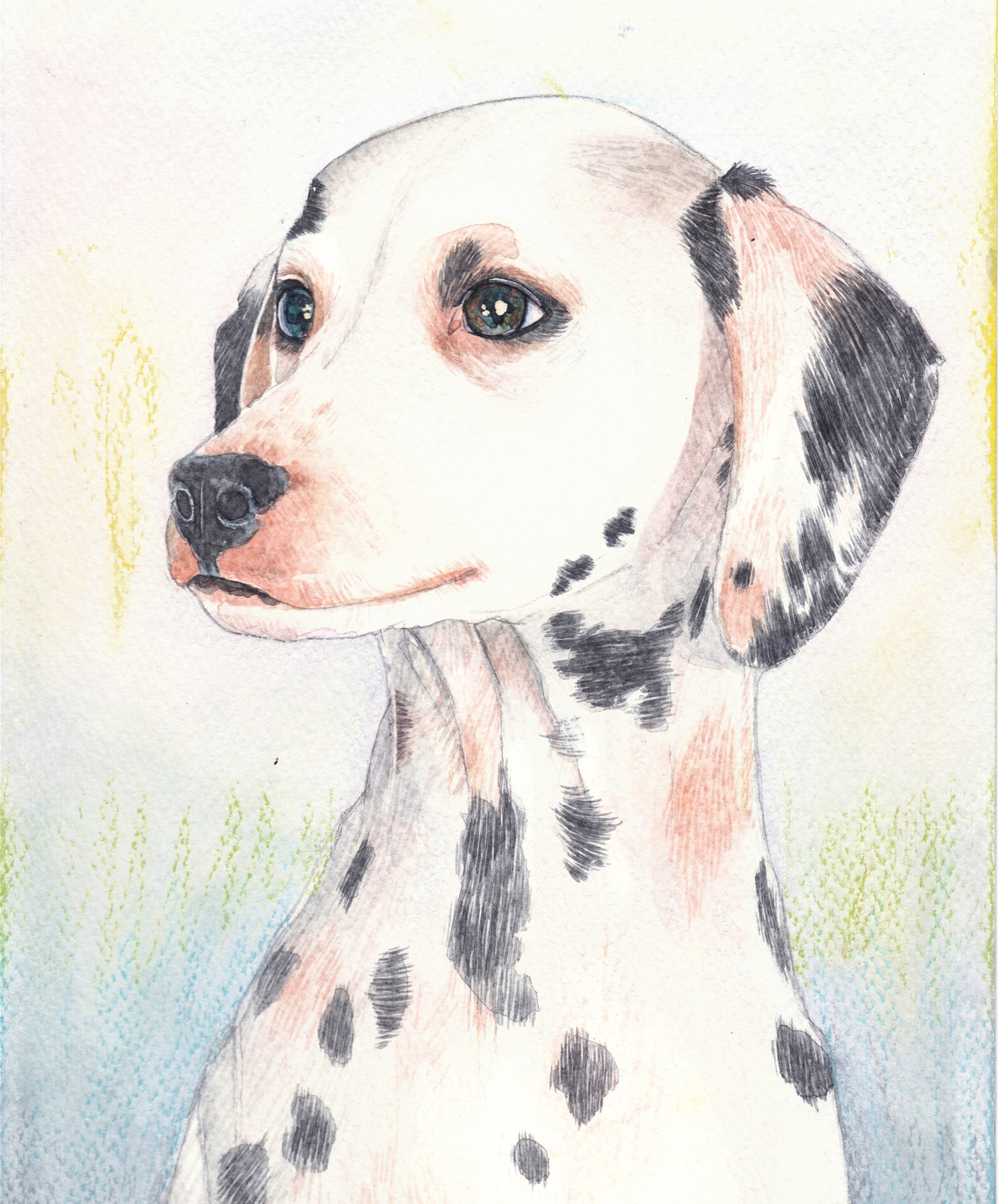 斑点狗 水彩 色粉笔 新浪微博:-未来魔法师