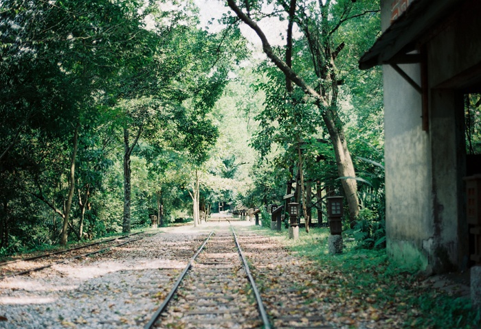 铁路 树林里的旅程 意境 壁纸 头像-堆糖,美好生活