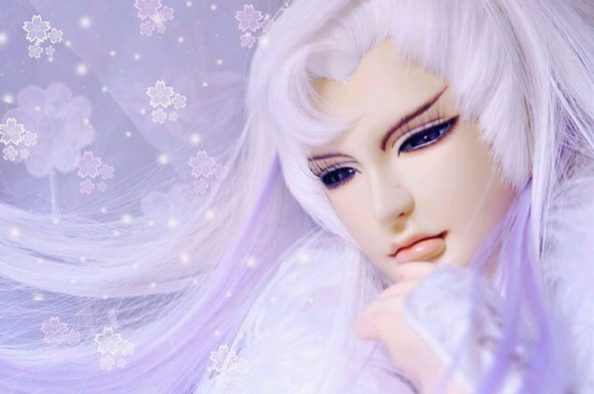 绮罗生.(源网,侵删)