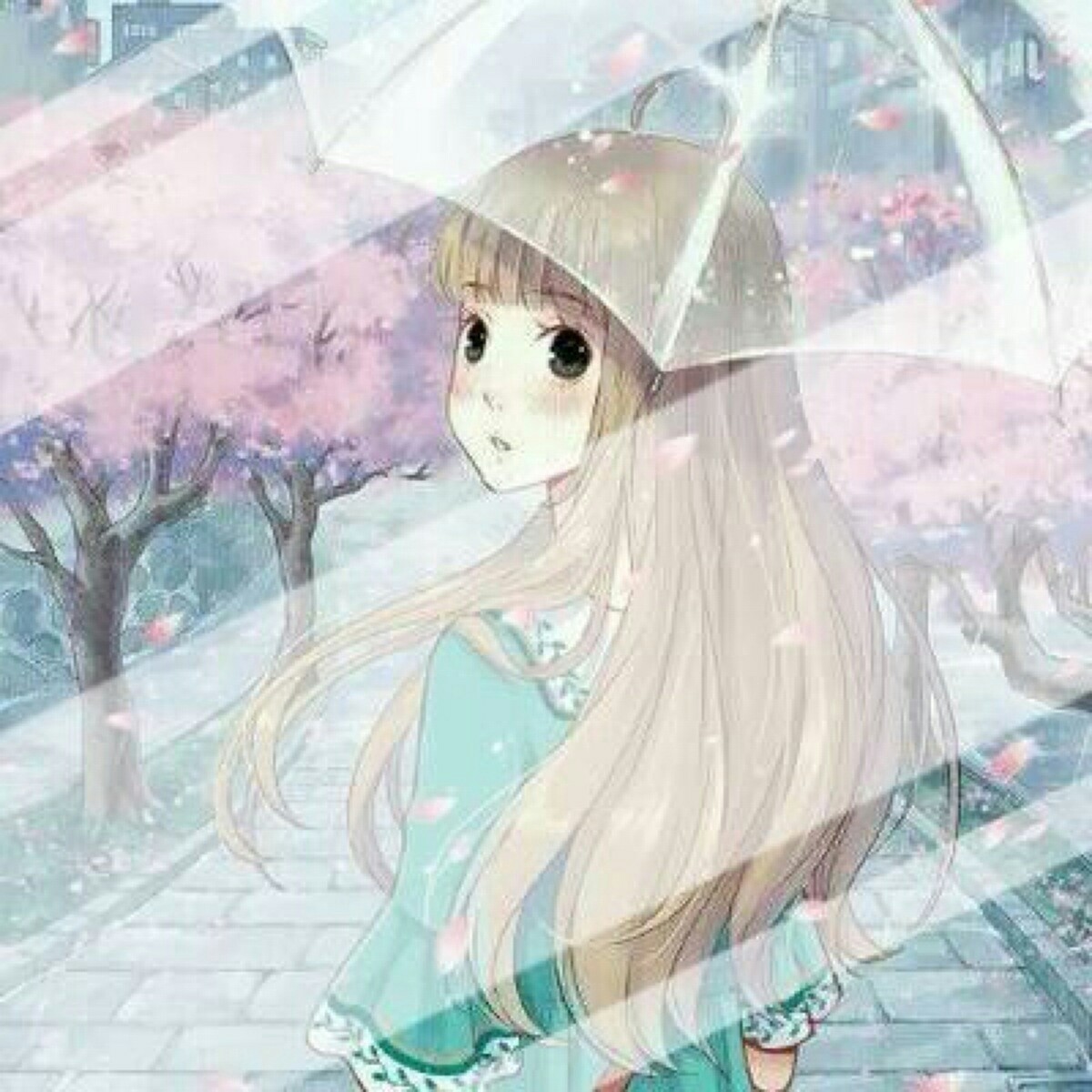 樱花雨 