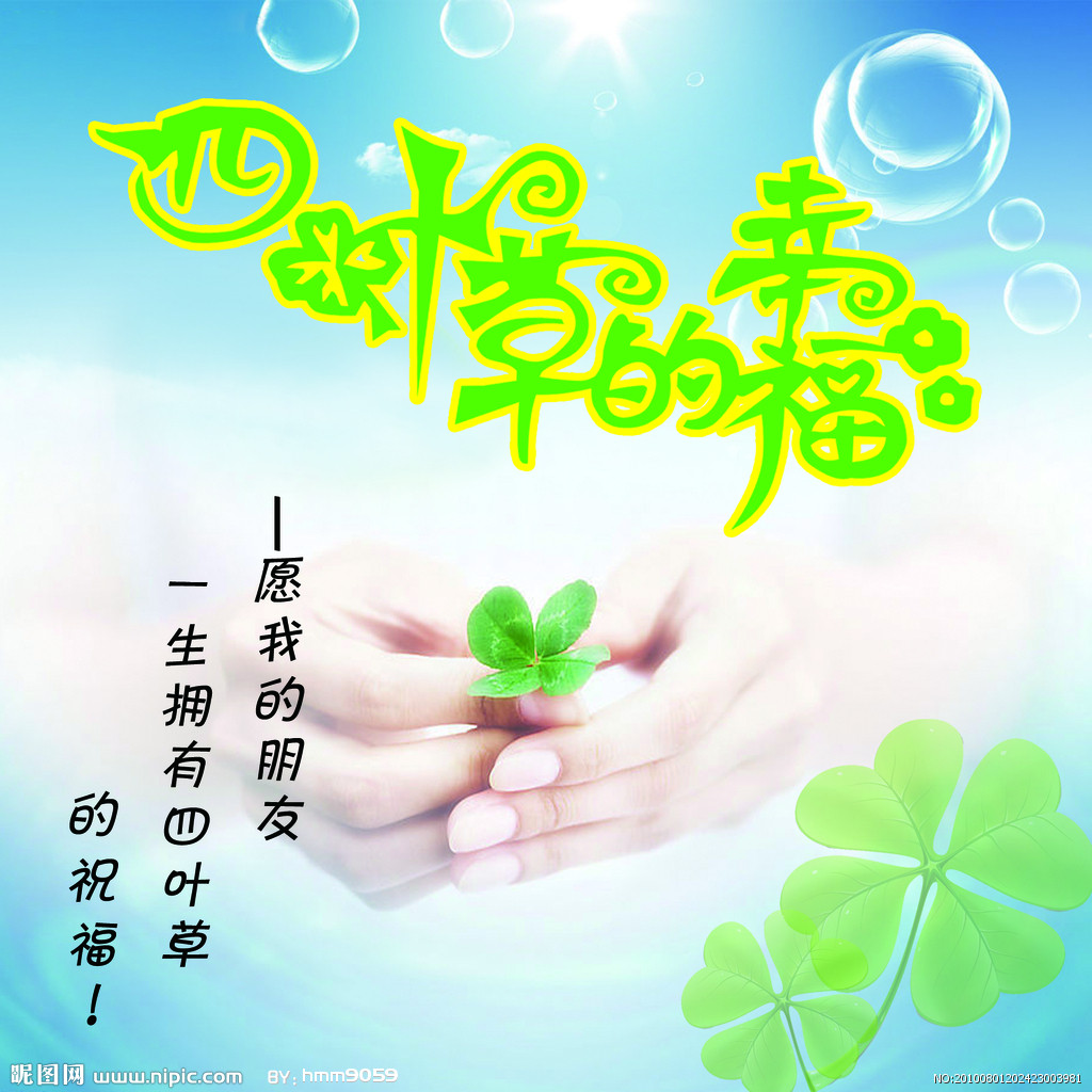 四叶草 图片