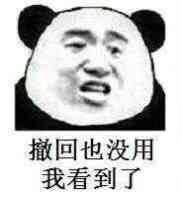 撤回也没用我都看到了表情包大全