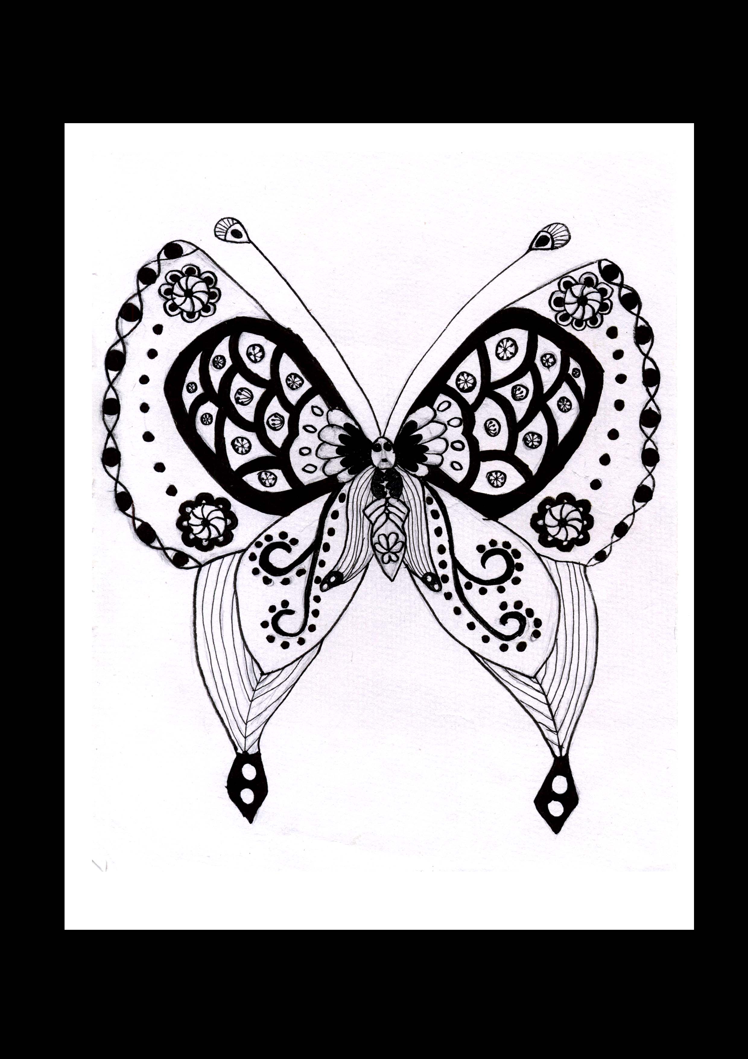 以蝴蝶为主题的装饰画图片