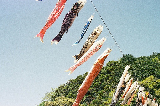 日式 和风 鲤鱼旗 旗帜 夏天 小清新 清风 盛夏 日本 鲤帜/こいのぼり