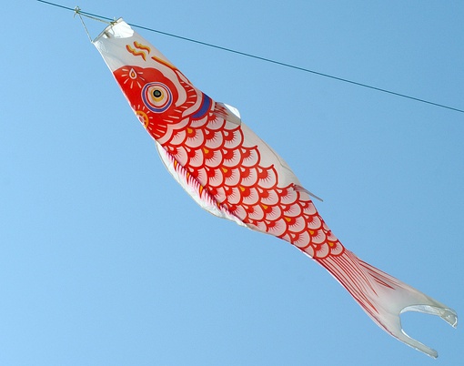 日式 和风 鲤鱼旗 旗帜 夏天 小清新 清风 盛夏 日本 鲤帜/こいのぼり