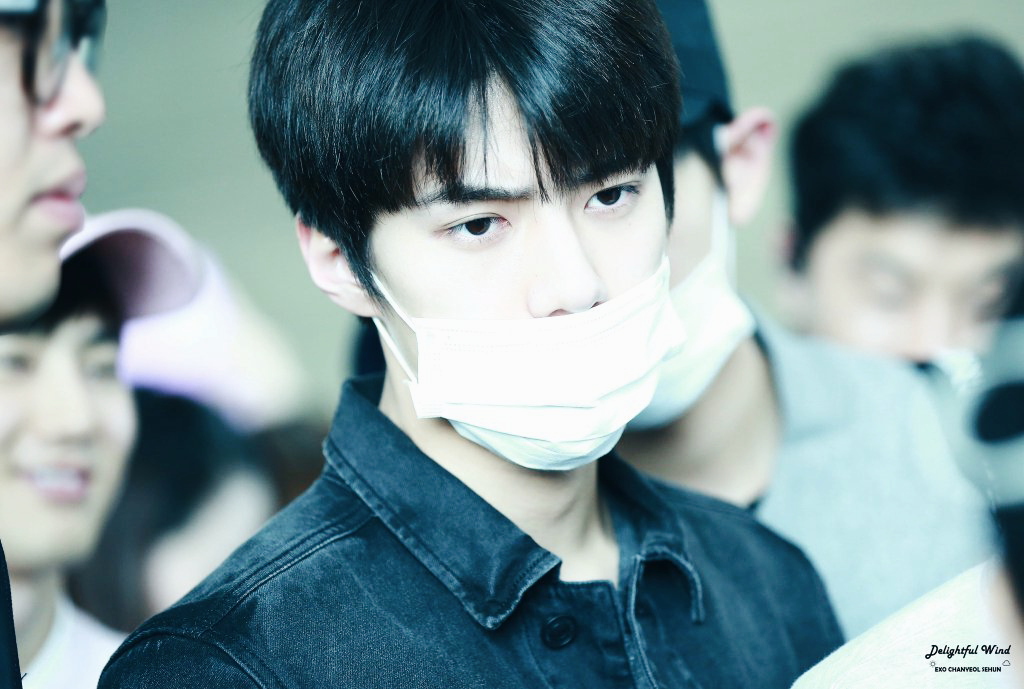 吴世勋sehun机场图